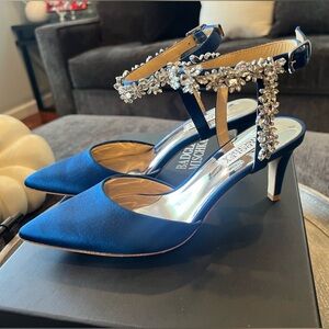 Badgley Mischka Esmeralda
Embellished Pointed Toe Royal Blue Silk pump h…